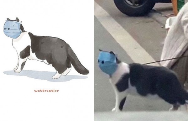 20만 팔로워도 인정했다!