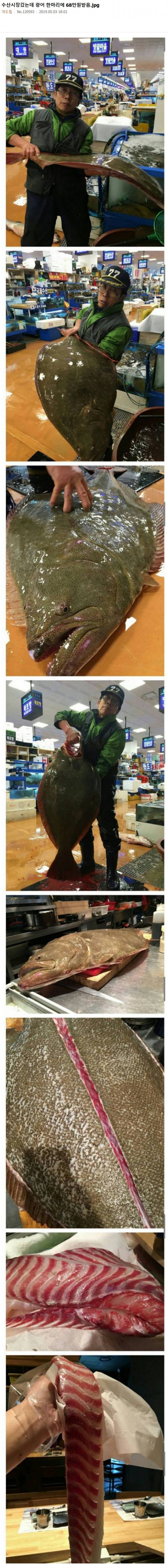 광어.jpg 수산시장갔는데 광어 한마리에 68만원받음...JPG