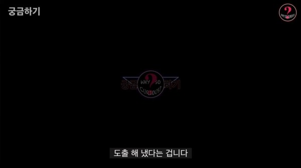 IMG_1496.jpeg 실시간 사망여우가 물어버린 모 유튜버의 케이스 업체