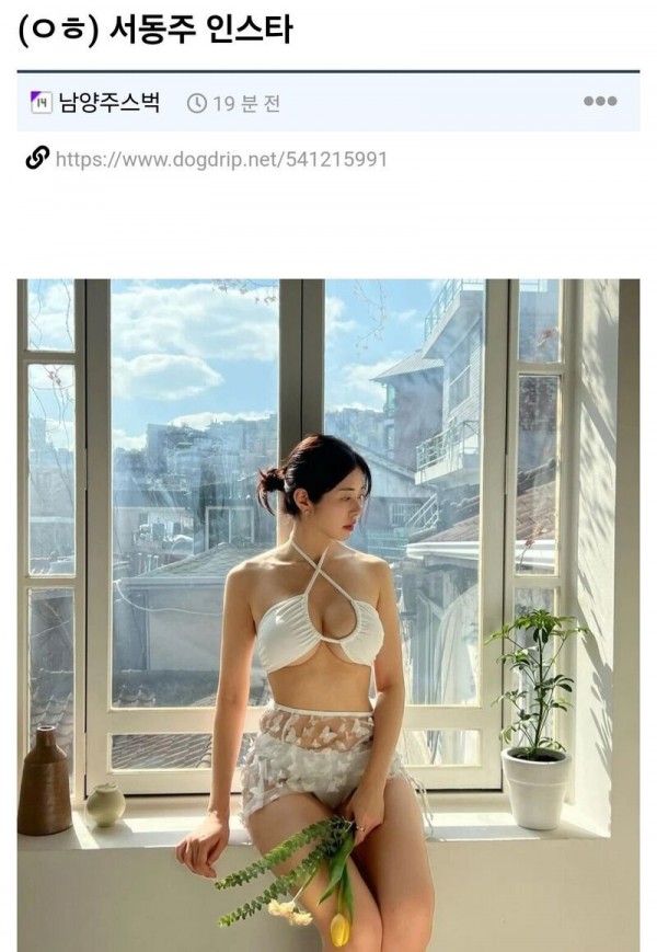 IMG_9237.jpeg 서동주 비키니사진 댓글.jpg